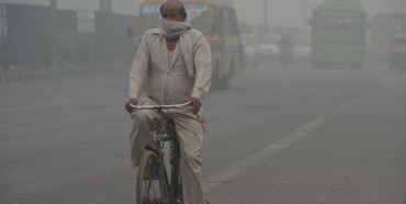 B vitamins may have ‘protective effect’ against air pollution